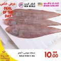 Ansar Gallery Qatar Offers 2021
