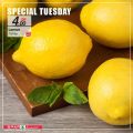 SPAR Qatar Offers  2020