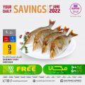 Al Rawabi Hypermarket Qatar offers 2022