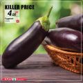 SPAR Qatar Offers  2020