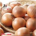 SPAR Qatar Offers  2020