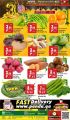 Panda Hypermarket Qatar Offers  2022