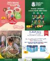 عروض الميرة قطر 2025