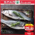 عروض سبار قطر  2019