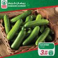 SPAR Qatar Offers  2020 - RAMADAN OFFERS