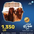 Widam Qatar offers 2021