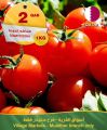 عروض أسواق القرية قطر 2023
