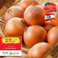 Village Markets Qatar Offers 2022