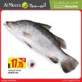 عروض الميرة قطر 2021