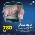 Widam Qatar offers 2021