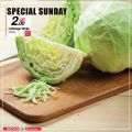 SPAR Qatar Offers  2020