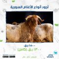 Widam Food Qatar Offers 2020