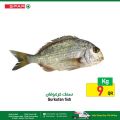 Spar Hypermarket Qatar offers 2022