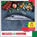 SPAR Qatar Offers  2020