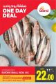 Grand Hypermarket Qatar offers 2021