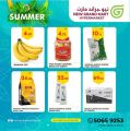New Grand Mart Qatar Offers  2022