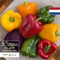 Village Markets Qatar Offers 2020