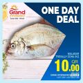 Grand Hypermarket Qatar offers 2021