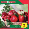 عروض سبار قطر 2020