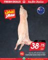 SPAR Hypermarket Qatar offers 2025