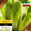 عروض اسواق القرية قطر 2020