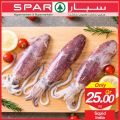 SPAR Qatar Offers  2019