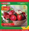Spar Hypermarket Qatar Offers 2022
