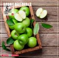 عروض سبار قطر  2020