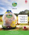 عروض سفاري هايبرماركت قطر 2024