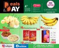 عروض  الروابى جروب قطر 2019