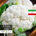 عروض اسواق القرية قطر 2020