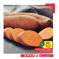 SPAR Qatar Offers  2020