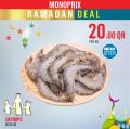 عروض مونوبرى قطر