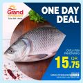 Grand Hypermarket Qatar offers 2021