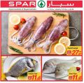 عروض سبار قطر  2019
