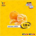 Metro market qatar offers 2020