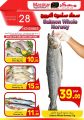 Offers Tuesday for fishing -  masskar hyper market Qatar