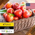عروض اسواق القرية قطر 2020
