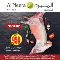 عروض الميرة قطر  2020