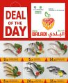 Souq Al Baladi QATAR offers 2021