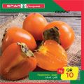 Spar Qatar Offers 2020