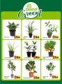 Grand Express Hypermarket Ezdan QATAR Offers