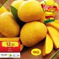 Village Markets Qatar Offers 2021