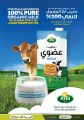 Al Meera Qatar Offers - back to school