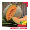 SPAR Qatar Offers  2020
