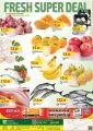 Panda Hypermarket Qatar offers  2020