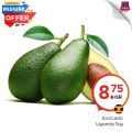 عروض  مركز التموين العائلى  قطر 2019