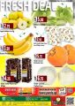 Panda Hypermarket Qatar Offers  2020