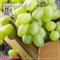 SPAR Qatar Offers  2020