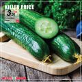 عروض سبار قطر  2020
